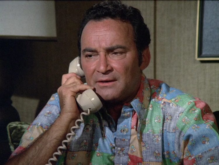 Jack Kosslyn as Harry Rosen, a middle aged white man with short, curly black hair, wearing a blue, purple, red, green, and peach patchwork shirt. He's talking on an old school landline telephone.